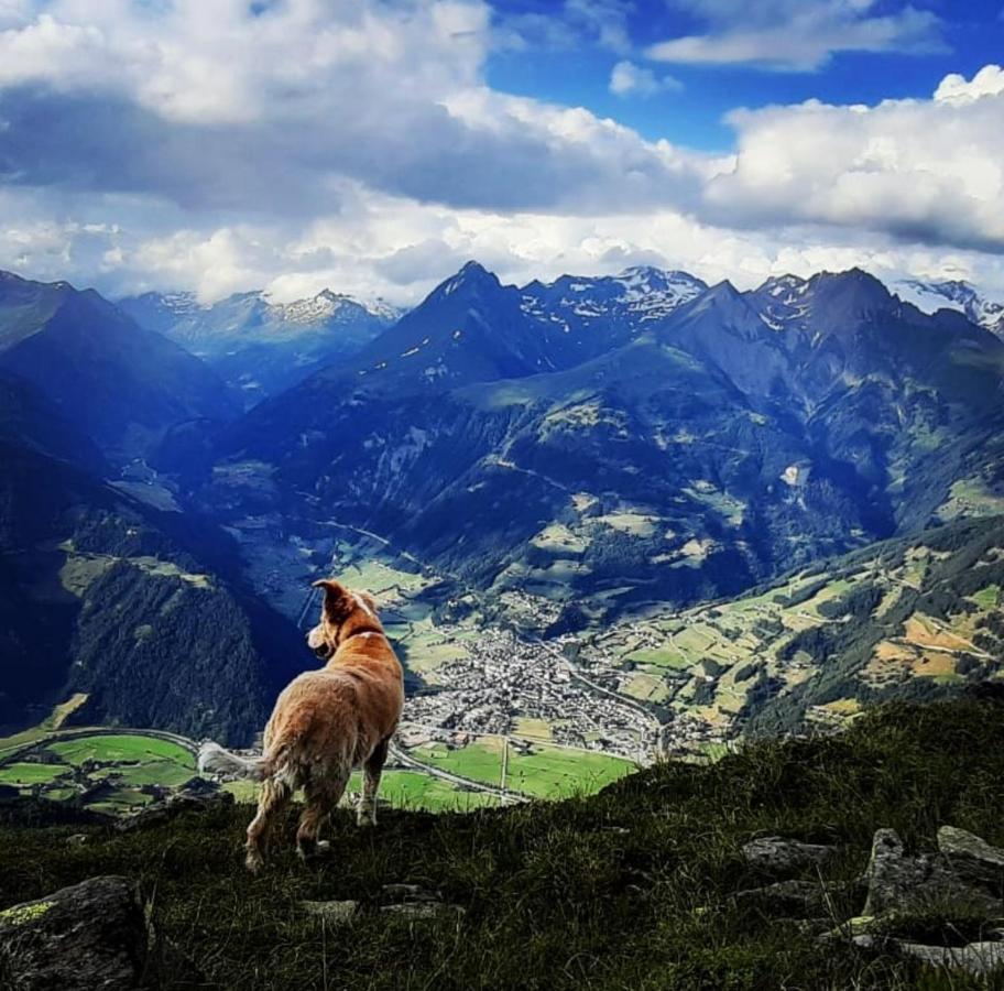 Haus Wibmer Séjour chez l'habitant Matrei in Osttirol