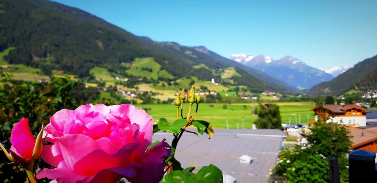 Haus Wibmer * Matrei in Osttirol